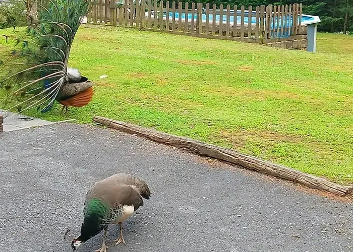 Tirolesa A 10 Km De Bakio En Parcela Privada